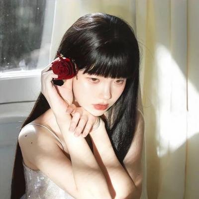 喜羊羊与灰太狼之飞马奇遇记