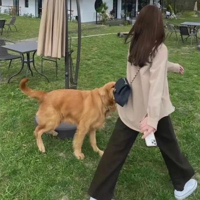懒女苏珊